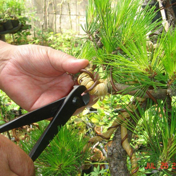 Kaneshin tråd-tang - Billede 7