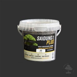 Saidung Plus