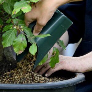 Omplantningskursus, lørdag den 21. marts 2026 10:00-14:00