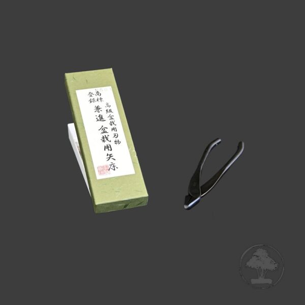 Kaneshin jin-tang