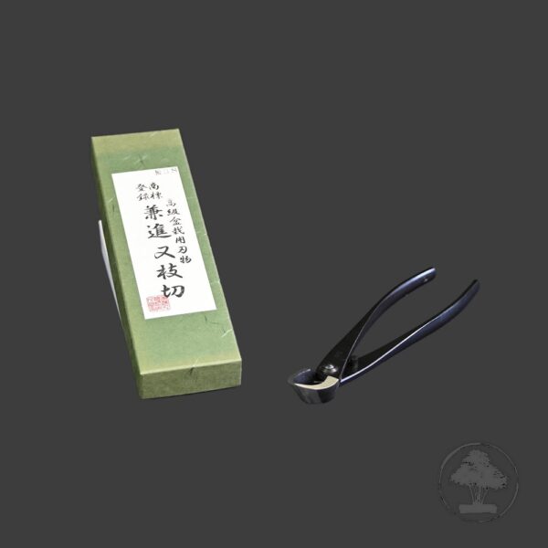 Kaneshin gren-tang