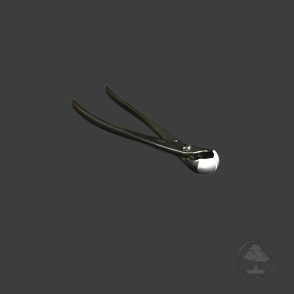 Ryuga, knop-tang