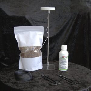 Tilbehørspakke til indendørs bonsai - den seriøse bonsaispire