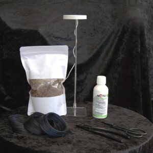 Tilbehørspakke til indendørs bonsai - den kvalitetsbevidste bonsaispire