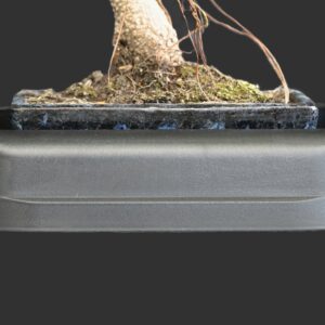 Hidrobonsai-vandingssystem