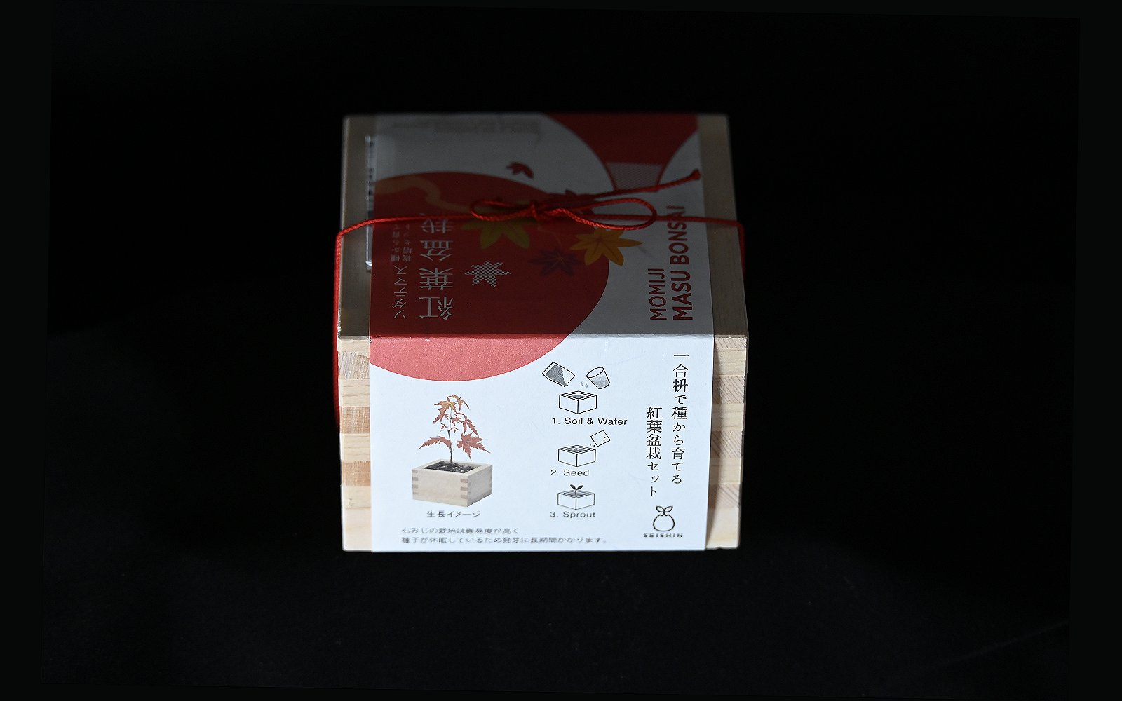 Japansk ahorn startkit - dyrk fra frø m potte - Billede 2