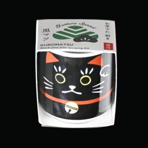 Japansk sortfyr startkit - dyrk fra frø