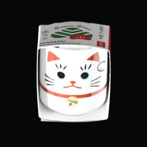 Japansk rødfyr startkit - dyrk fra frø